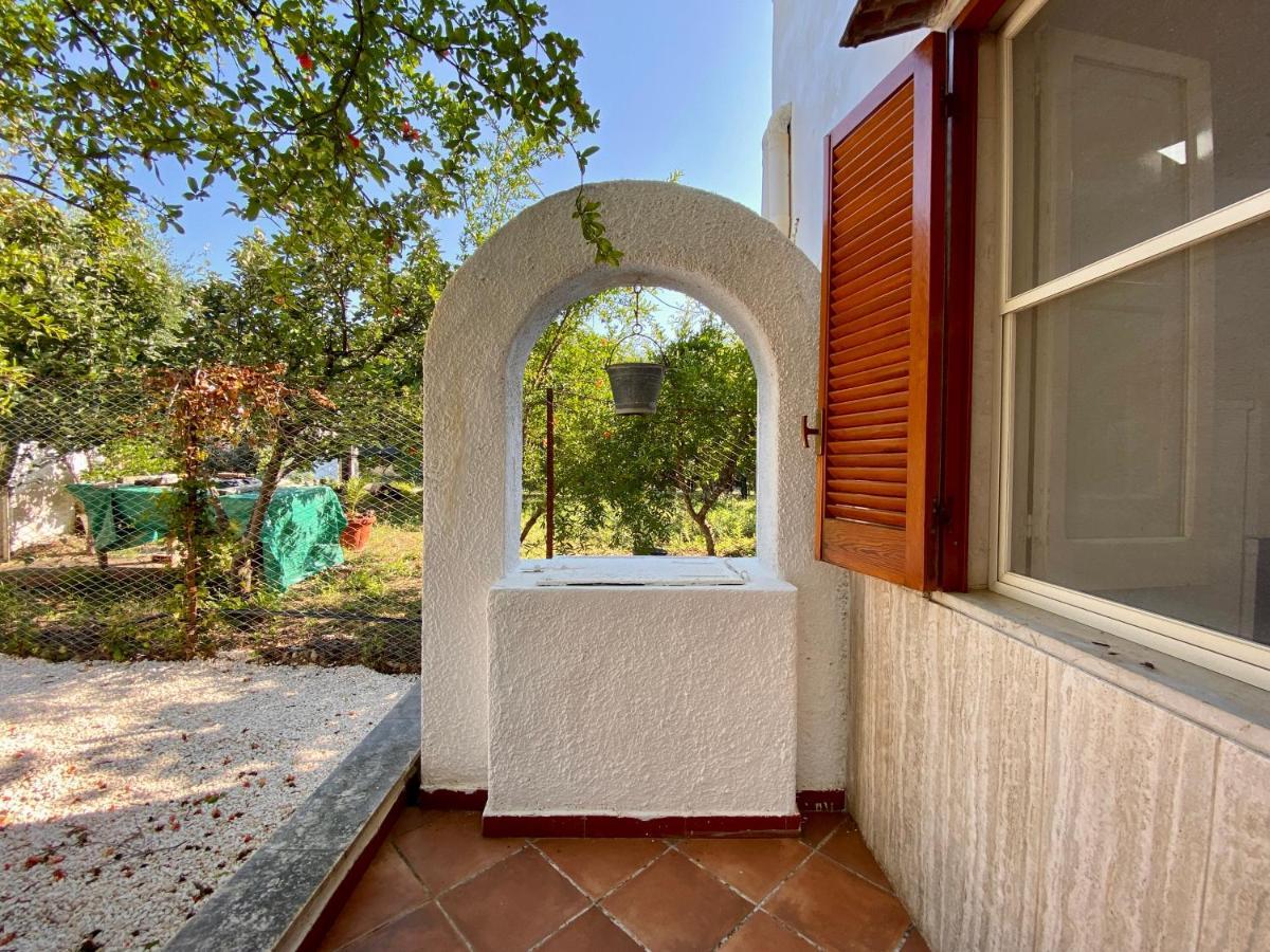Villetta Pasquina Mattinata Dış mekan fotoğraf