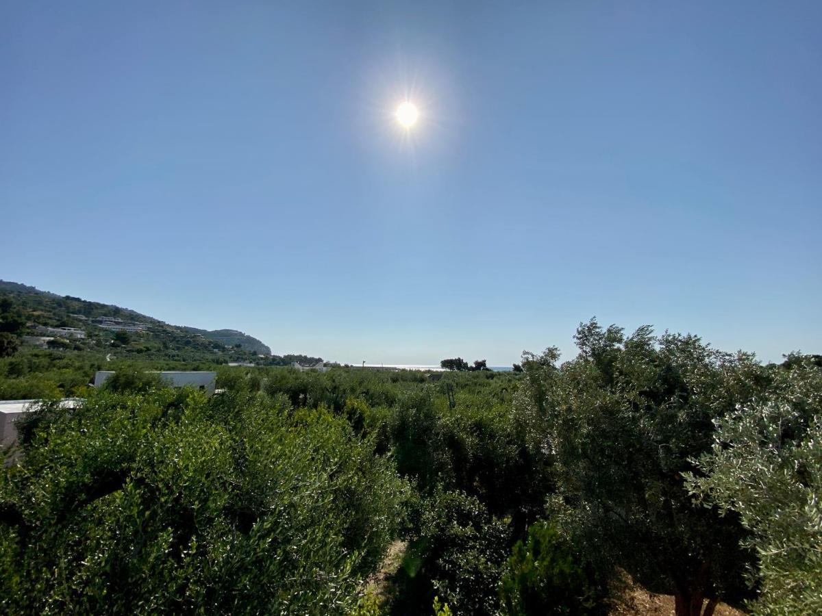 Villetta Pasquina Mattinata Dış mekan fotoğraf